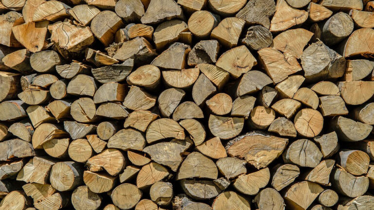 legna ardere legnatico dominio collettivo cerasuolo